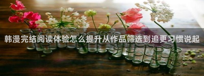漫画岛漫画动态:韩漫完结阅读体验怎么提升从作品筛选到追更习惯说起