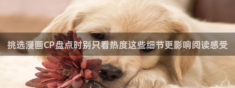 漫画岛漫画分类大全：挑选漫画CP盘点时别只看热度这些细节更影响阅读感受