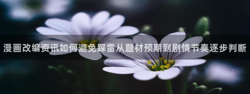 漫画岛在线导航：漫画改编资讯如何避免踩雷从题材预期到剧情节奏逐步判断