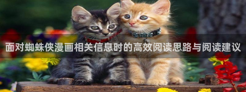 漫画岛网页：面对蜘蛛侠漫画相关信息时的高效阅读思路与阅读建议
