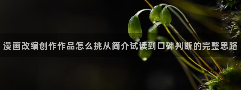 漫画岛热门连载漫画：漫画改编创作作品怎么挑从简介试读到口碑判断的完整思路